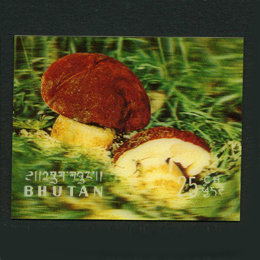 Briefmarken
des Themas 3-D Marken
'
Briefmarken
des Themas 3-D Marken
'
