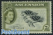 7p, Young turtles, Stamp out of set