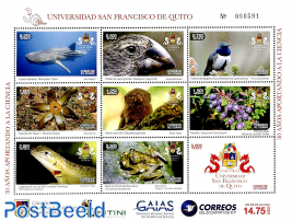 University of San Francisco de Quito 9v m/s