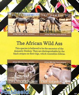 The African Wild Ass 4v m/s