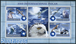 Int. Polar year, birds 4v m/s