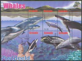 Whales 6v m/s /Blue whale