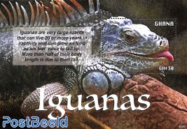 Iguanas s/s