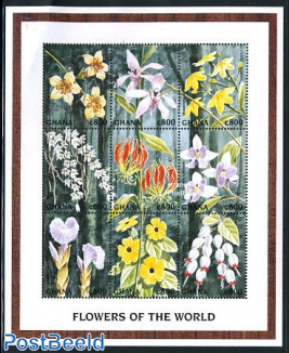 Worldwide flora 9v m/s