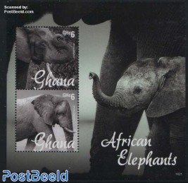 African Elephants s/s