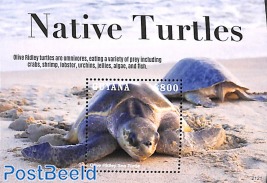 Native Turtles s/s