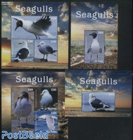 Seagulls 4 s/s