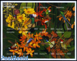 Hummingbirds 8v m/s