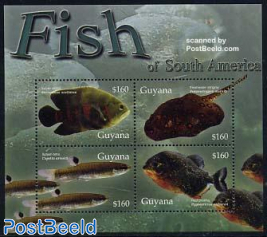 Fish 4v m/s, Velvet cichlid