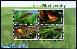 Biodiversity 4v m/s