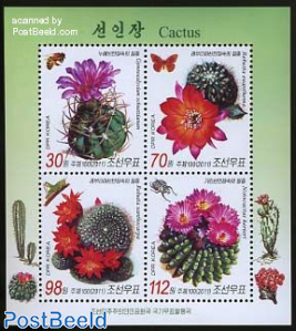 Cactus flowers 4v m/s