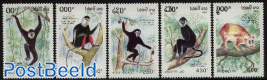 Monkeys 5v