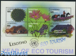 Eco tourism 6v m/s