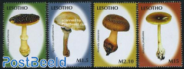 Mushrooms 4v