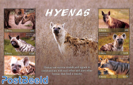 Hyenas 6v m/s