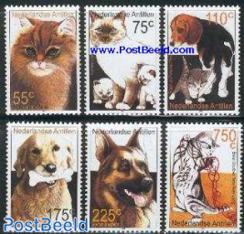 Cats & dogs 6v