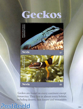 Geckos 2v m/s