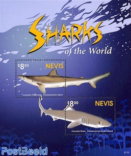 Sharks s/s