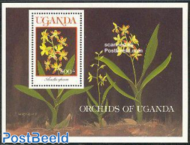 Orchids s/s, Ansellia Africana