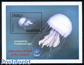 Int. ocean year s/s, Jellyfish