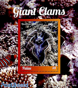 Giant Clam s/s