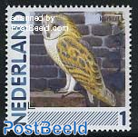 Birds 1v, Tyto alba (Kerkuil)