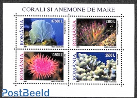 Corals 4v m/s