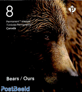Bears booklet