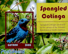 Spangled Cotinga s/s
