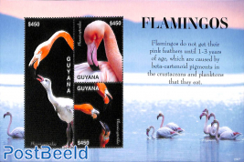 Flamingos 3v m/s