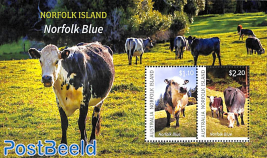 Norfolk blue s/s