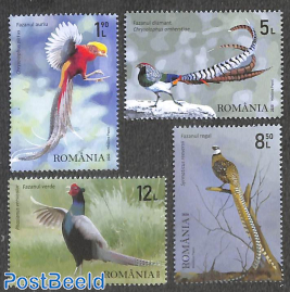 Pheasants 4v