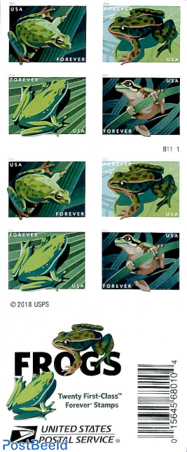 Frogs booklet s-a