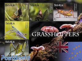 Grasshoppers 5v m/s