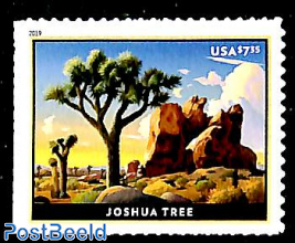 Joshua Tree 1v s-a