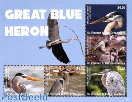 Great Blue Heron 5v m/s