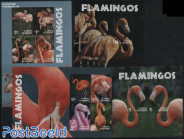 Flamingos 4 s/s