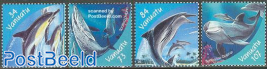 Dolphins 4v