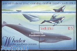 Blue whale s/s