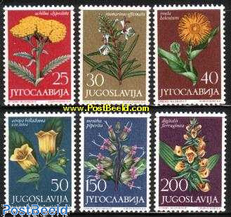 Flowers 6v