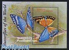 Butterfly s/s, Morpho Aega