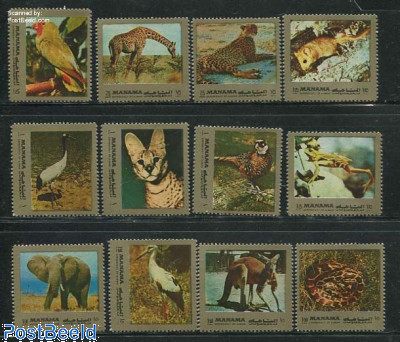 Animals 12v