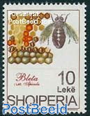 Bees 1v LAT.Apicula
