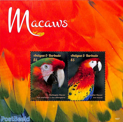 Macaws 2v m/s