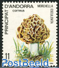 Mushroom, Morchella esculenta 1v