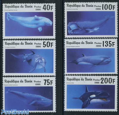 Sea mammals 6v