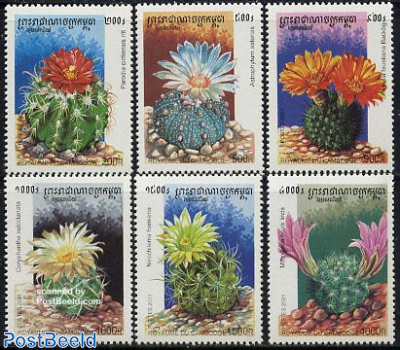 Cactus flowers 6v