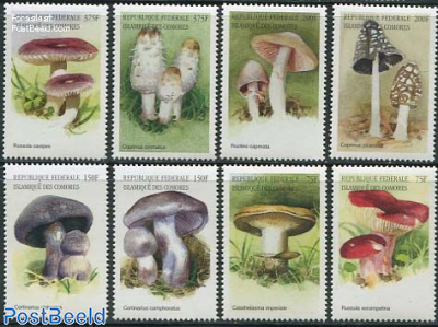European mushrooms 8v