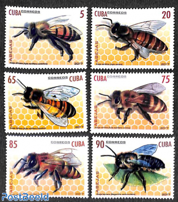 Bees 6v