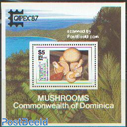 Capex, mushrooms s/s